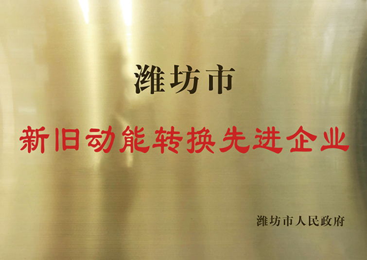 濰坊市新舊動能轉(zhuǎn)換先進(jìn)企業(yè)
